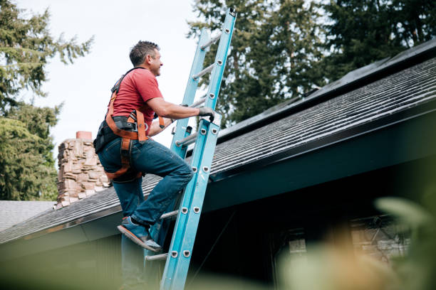 Skylights in Ellijay, GA